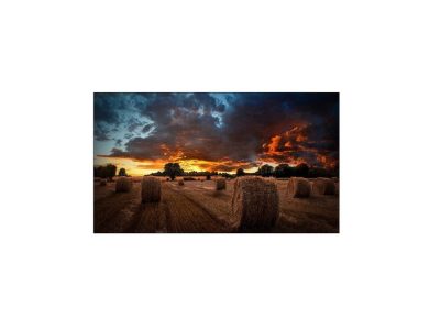 Monitor Industrial SAMSUNG 55 Pulgadas Ultraestrecho