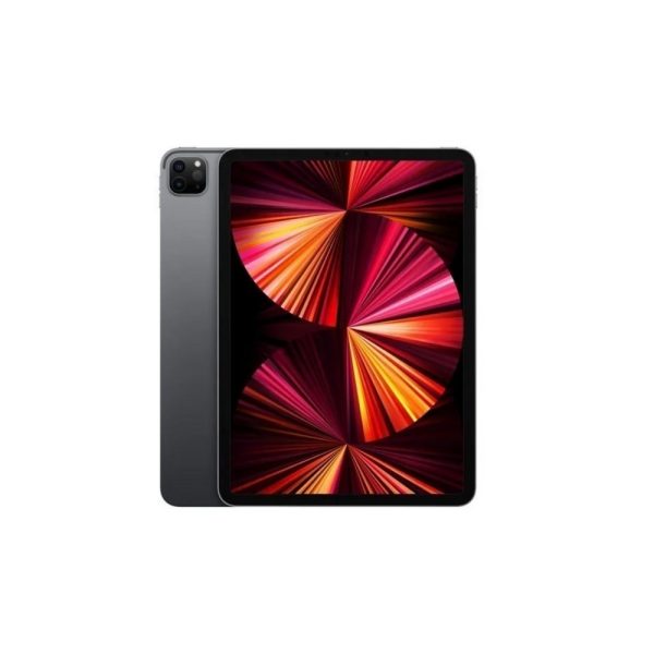 iPad Pro de 11’’ 256 GB - Gris espacial