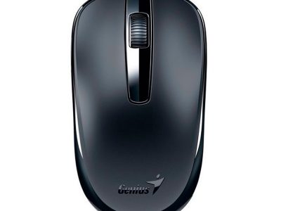 Mouse GENIUS DX-120 USB Alambrico COLOR Negro